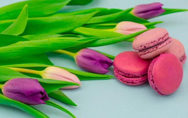 Macarons Colorés Avec Des Tulipes Roses Fraîches Coupées — Photo