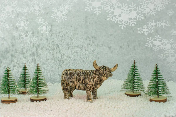 Vánoční Ozdoba Stříbrném Pozadí Sníh — Stock fotografie