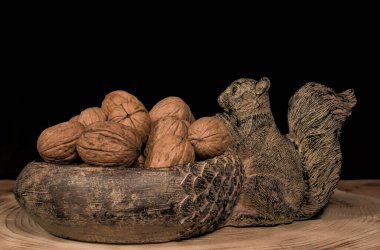 Tahta masadaki cevizler. Köy tarzı kase sincabı.