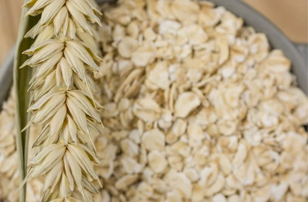 Organic Raw Dry Oats Bowl Gray Background — Stock Photo, Image