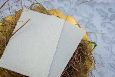 Geleneksel Doğu Avrupa Noel arifesinde samanlı gofret