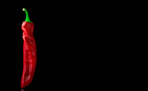 Estudio Pimientos Rojos Aislados Sobre Fondo Negro —  Fotos de Stock