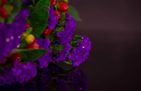 Hermoso Ramo Flores Decorativas Violetas Con Baya Roja — Foto de Stock