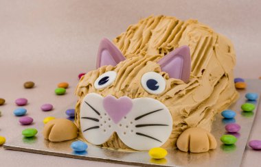 Papyonlu komik kedi ve doğum günü pastası. 