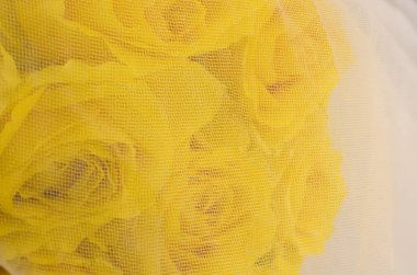 Arka planda yeşil yapraklı sarı gülün yakın çekimi