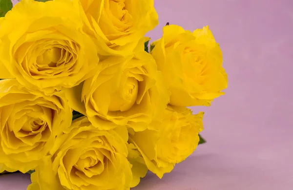 Nahaufnahme Einer Gelben Rose Mit Grünen Blättern Hintergrund — Stockfoto