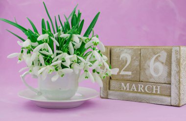 İlkbaharda kardamlaları, bahar çiçekleri