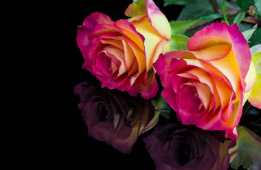 Siyah arka planda izole edilmiş kırmızı güllerin fotoğrafı