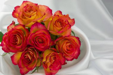 Beyaz arkaplanda izole edilmiş kırmızı güllerin fotoğrafı