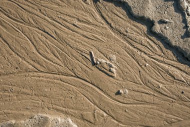 Dalgalanan Kırmızı Kahverengi Kumsal Kum Dokuları Arkaplanı.