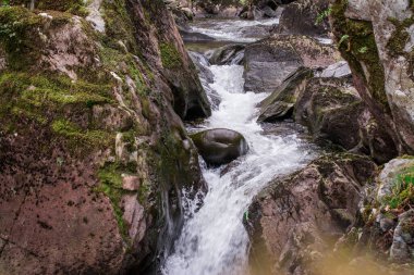 Dağlarda, Galler 'de temiz suyu olan küçük bir nehir.
