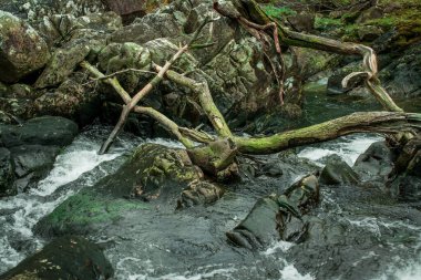 Dağlarda, Galler 'de temiz suyu olan küçük bir nehir.
