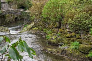 Dağlarda, Galler 'de temiz suyu olan küçük bir nehir.