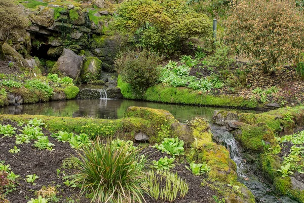 英国威尔士山区一条小河 清澈清澈的水 — 图库照片