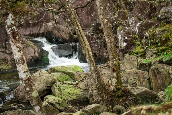 Dağlarda Galler Temiz Suyu Olan Küçük Bir Nehir — Stok fotoğraf