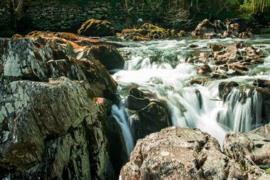 Dağlarda, Galler 'de temiz suyu olan küçük bir nehir.