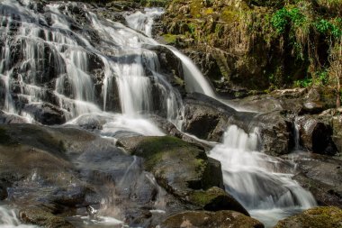 Dağlarda, Galler 'de temiz suyu olan küçük bir nehir.
