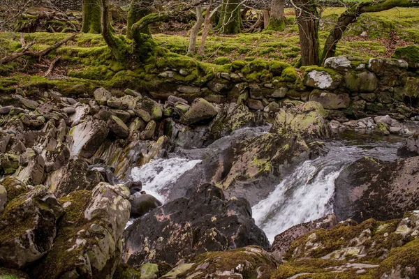 Malá Řeka Horách Čistou Vodou Walesu Velká Británie — Stock fotografie