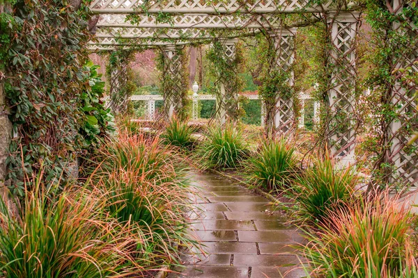 Arco Albero Nel Giardino Vicino — Foto Stock