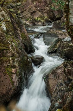 Dağlarda, Galler 'de temiz suyu olan küçük bir nehir.