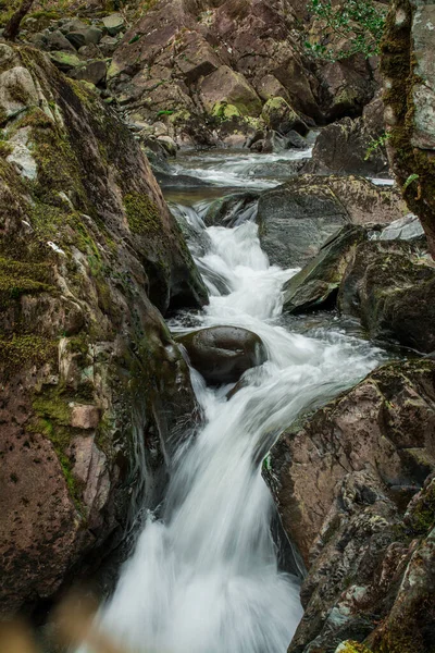 Une Petite Rivière Dans Les Montagnes Avec Une Eau Claire — Photo