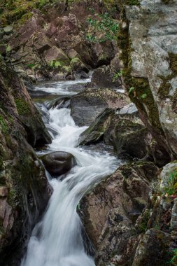 Dağlarda, Galler 'de temiz suyu olan küçük bir nehir.