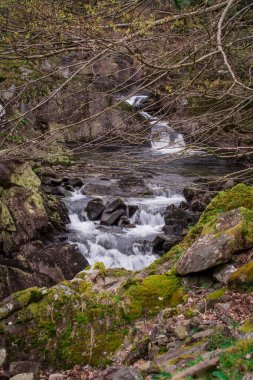 Dağlarda, Galler 'de temiz suyu olan küçük bir nehir.