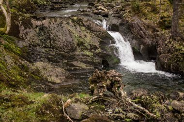 Dağlarda, Galler 'de temiz suyu olan küçük bir nehir.