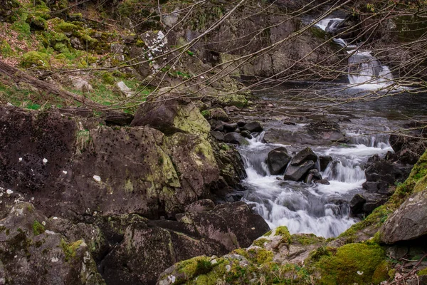 Une Petite Rivière Dans Les Montagnes Avec Une Eau Claire — Photo