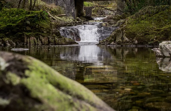 Une Petite Rivière Dans Les Montagnes Avec Une Eau Claire — Photo