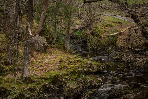 Невелика Річка Горах Чистою Водою Уельсі — стокове фото