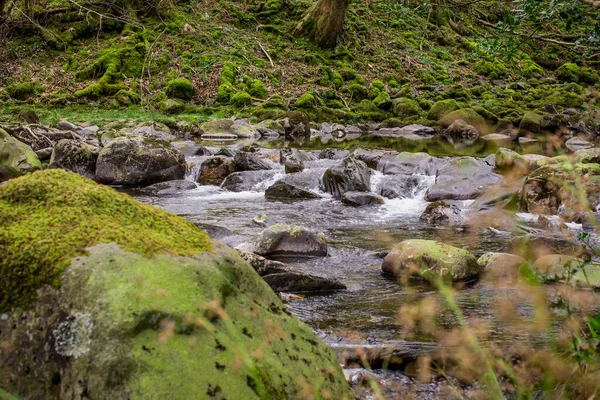 Een Riviertje Bergen Met Helder Water Wales — Stockfoto