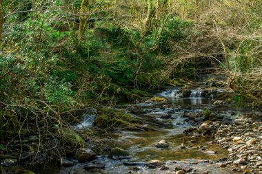 Dağlarda, Galler 'de temiz suyu olan küçük bir nehir.