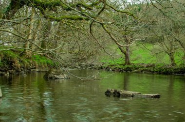 Dağlarda, Galler 'de temiz suyu olan küçük bir nehir.