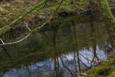 Dağlarda, Galler 'de temiz suyu olan küçük bir nehir.