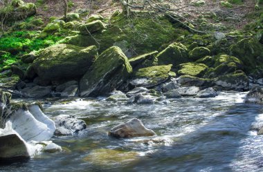 Dağlarda, Galler 'de temiz suyu olan küçük bir nehir.