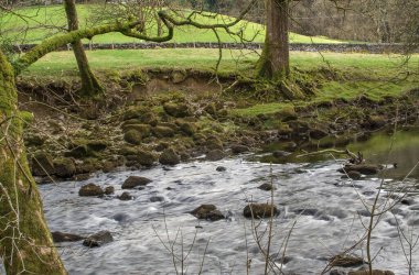 Dağlarda, Galler 'de temiz suyu olan küçük bir nehir.
