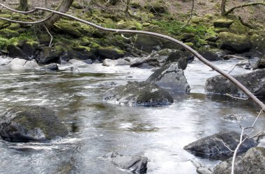 Dağlarda, Galler 'de temiz suyu olan küçük bir nehir.