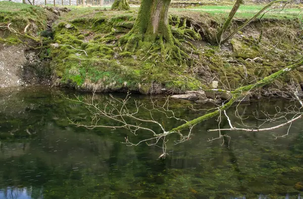 Ein Kleiner Fluss Den Bergen Mit Klarem Wasser Wales — Stockfoto