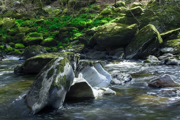 Liten Flod Bergen Med Klart Vatten Wales — Stockfoto