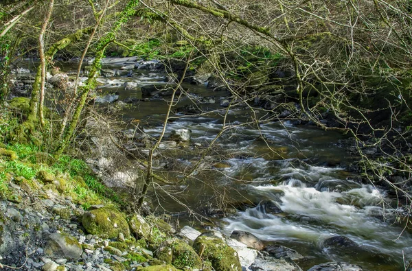 Dağlarda Galler Temiz Suyu Olan Küçük Bir Nehir — Stok fotoğraf