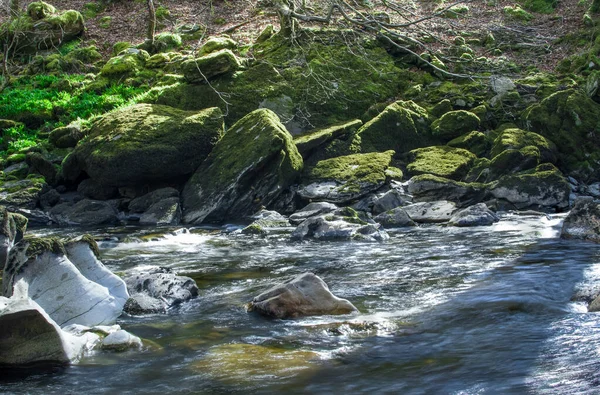 Malá Řeka Horách Čistou Vodou Walesu Velká Británie — Stock fotografie