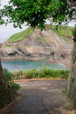 Manzara, Kuzey Devon 'daki yeşil tepeler, deniz.-