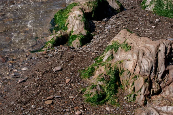 Krásné Skály Pláži Severní Cornwall Anglie Poblíž Bude — Stock fotografie