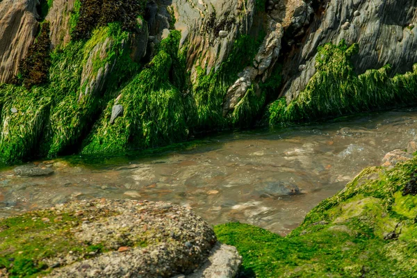 Kuzey Cornwall 'da, Bude yakınlarında güzel kayalar.