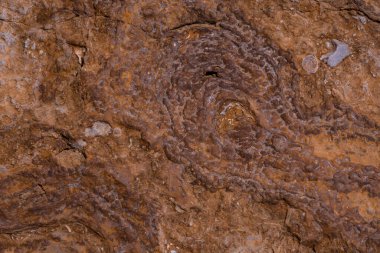 Hive Beach 'teki uçurum dokusu, Burton Bradstock, Bridport, Do