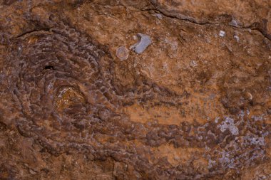 Hive Beach 'teki uçurum dokusu, Burton Bradstock, Bridport, Do