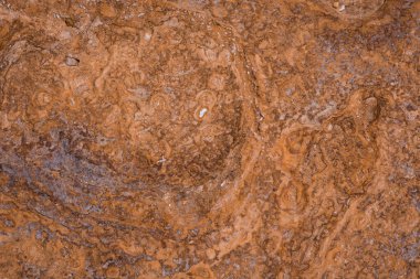 Hive Beach 'teki uçurum dokusu, Burton Bradstock, Bridport, Do