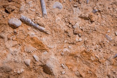 Hive Beach 'teki uçurum dokusu, Burton Bradstock, Bridport, Do