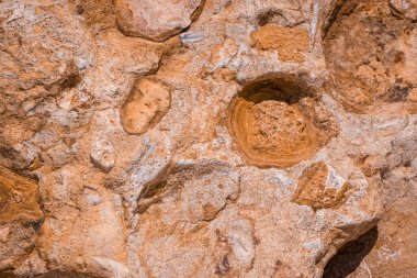 Hive Beach 'teki uçurum dokusu, Burton Bradstock, Bridport, Do